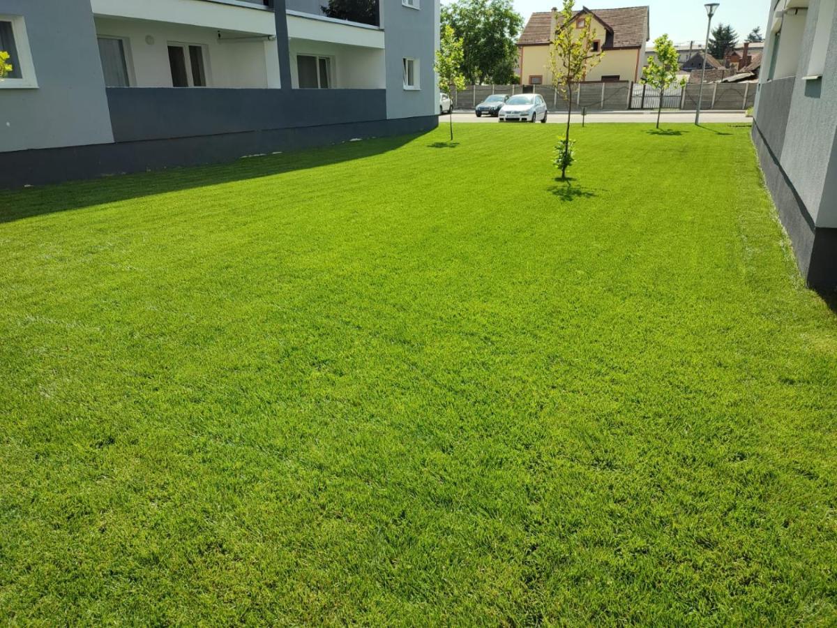 Hunyadi Luxury Kogalniceanu Sibiu Buitenkant foto