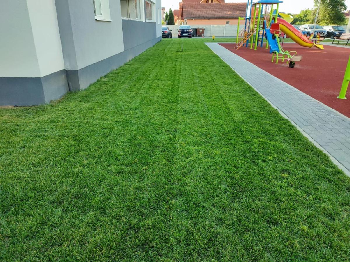 Hunyadi Luxury Kogalniceanu Sibiu Buitenkant foto