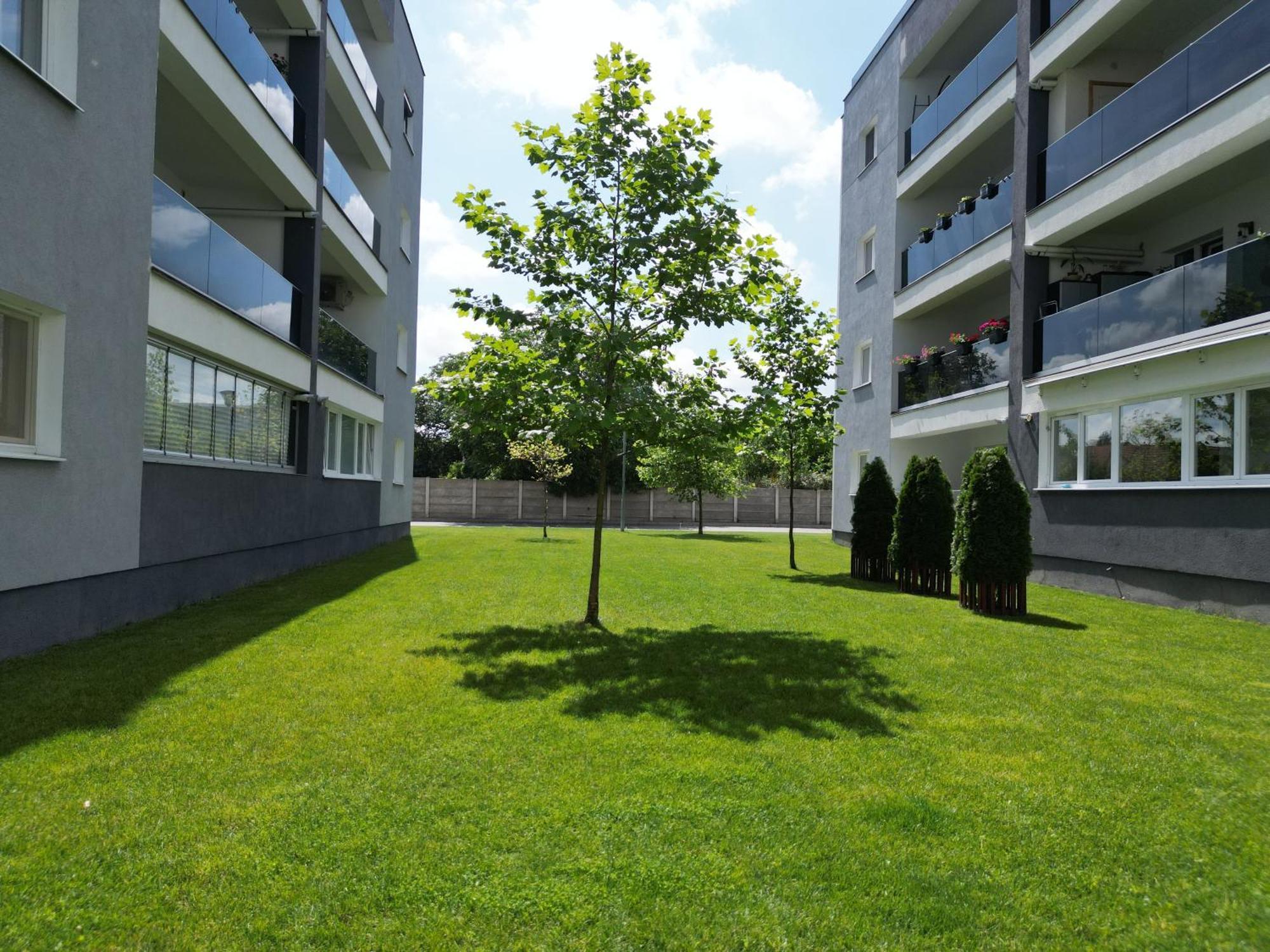 Hunyadi Luxury Kogalniceanu Sibiu Buitenkant foto